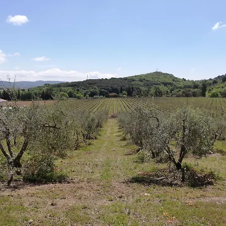 Debbione Marconi Séjour à la ferme Suvereto