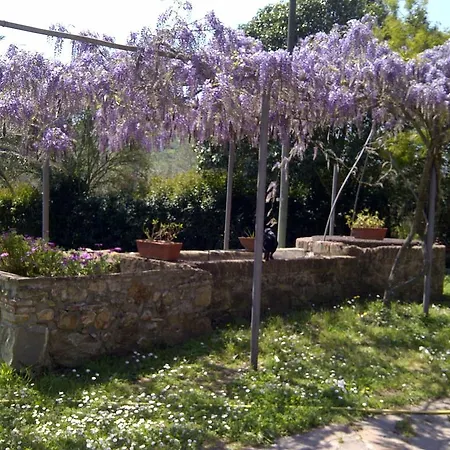 Farm stay Debbione Marconi *